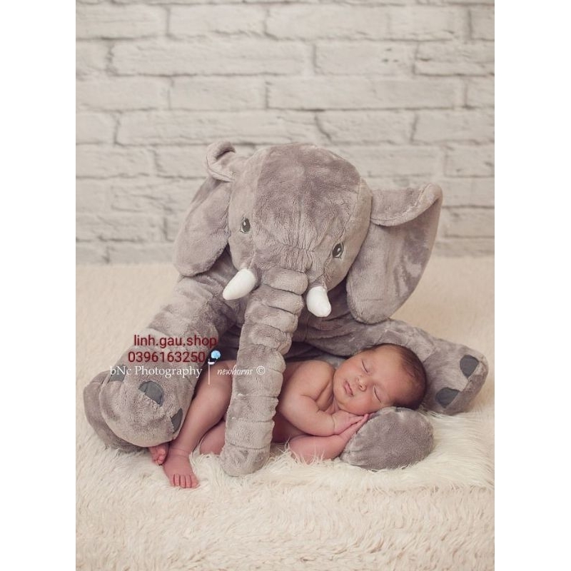 VOI BÔNG HÀN QUỐC BỰ MỀM