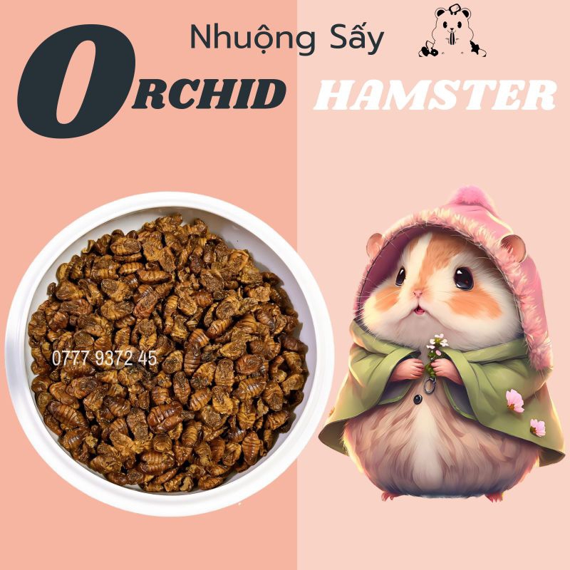 Nhuộng Sấy Cho Hamster