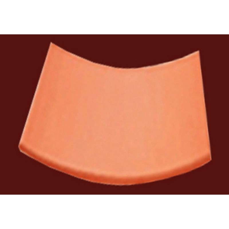 combo 5 miếng ngói nướng cao cấp