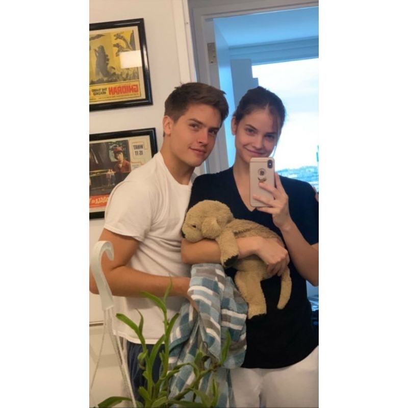 Chó bông Gold Ikea sale