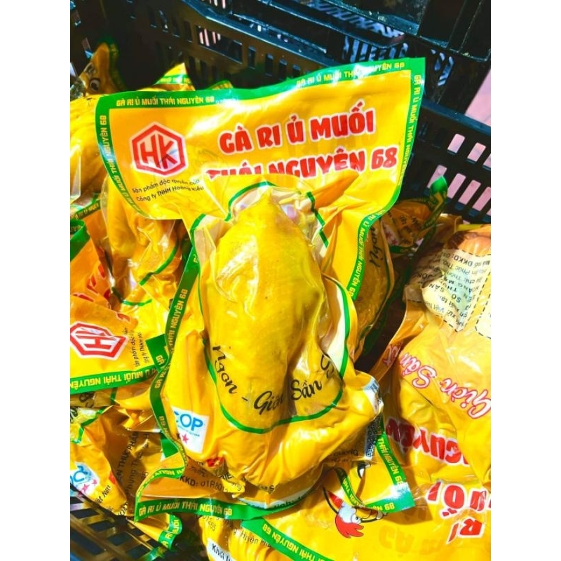 GÀ TA Ủ MUỐI NGUYÊN CON