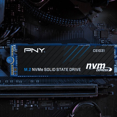 Ổ cứng SSD PNY NVMe 256GB - 500GB Gen3x4 - Bảo hành chính hãng 5 năm