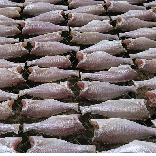 Khô cá đù 10-14 con/kg không mặn