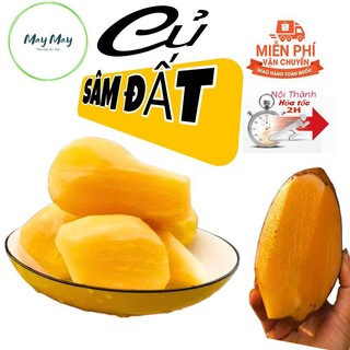 Củ sâm đất vùng cao tây bắc giá 1kg