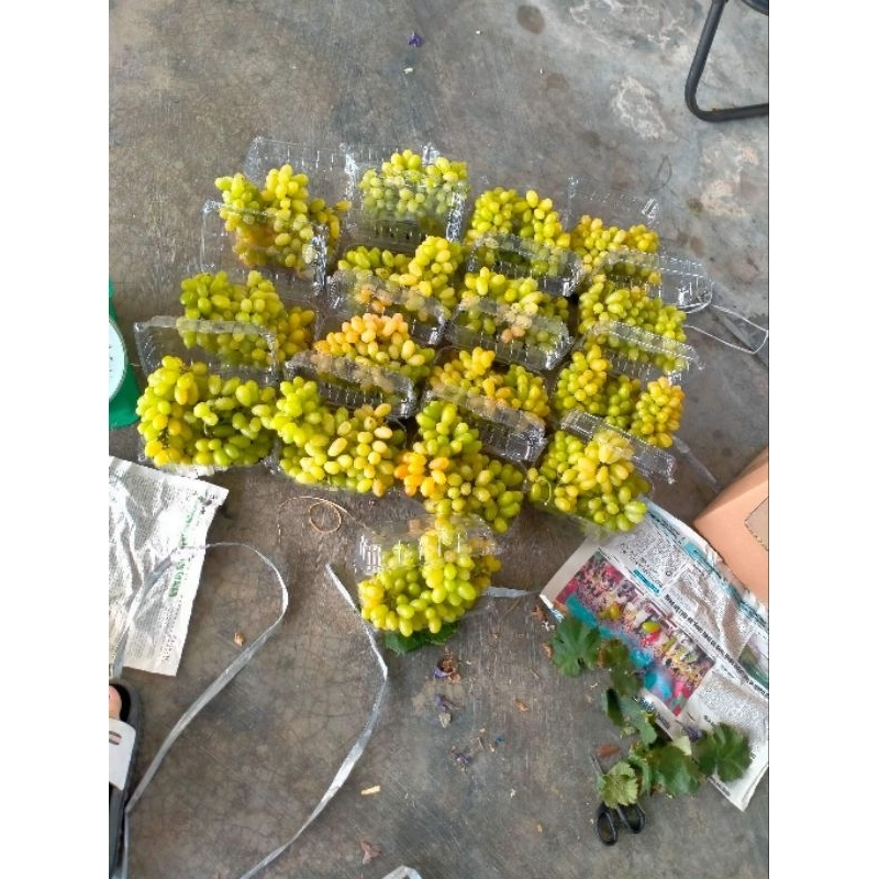 Nho xanh Ninh Thuận