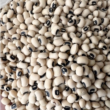 COMBO 2kg ĐẬU TRẮNG MẮT ĐEN / ĐẬU TRẮNG MẮT CUA - hàng đẹp, loại 1