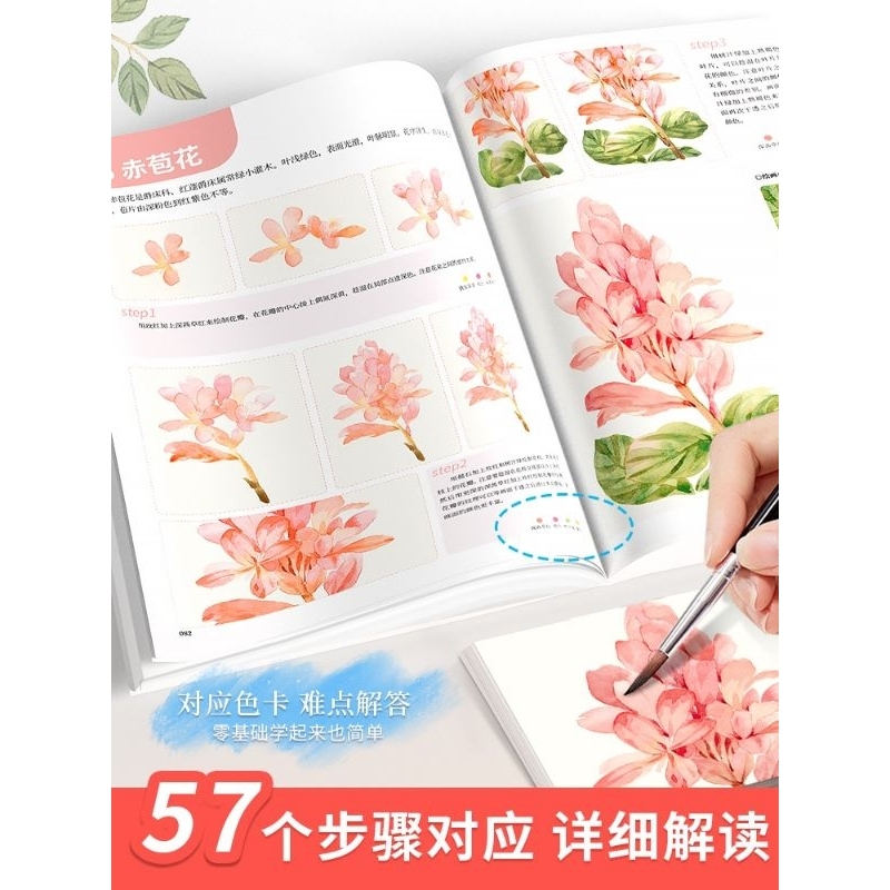 ARBOOK Luyện vẽ Hoa bằng màu nước tuyệt đẹp 🌹 🍑 🍊