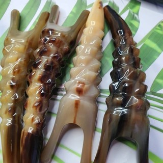 bọ cạp sừng