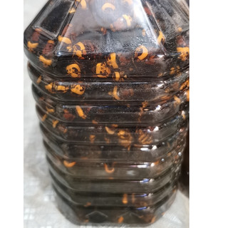 Ong Đất Ngâm Sẵn Can 3 Lít - Đặc Sản 27