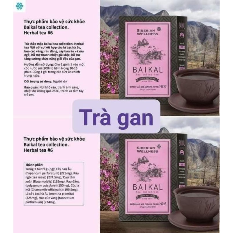 Trà giải độc gan N6 siberian Trà thảo mộc Baikal tea collection. Herbal tea №6