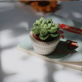 chậu hoa sương rồng len handmade