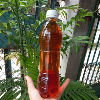 1 Lít nước  mắm nhĩ cá cơm nhà làm