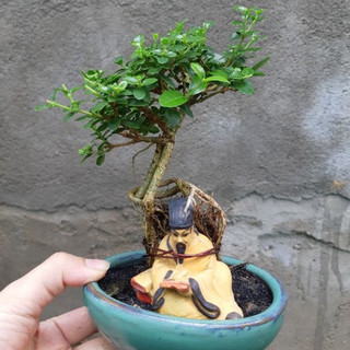 Sam hương mini ÔM TƯỢNG- ÔM ĐÁ