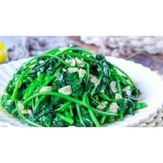 Cây giống rau lang nhật ăn ngọn 1 kg