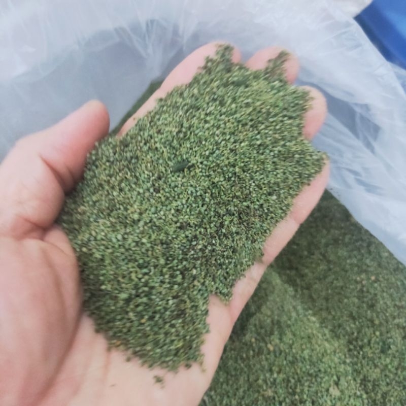 Nụ hoa tam thất 500g-1kg dạng tấm