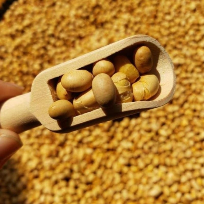 Hạt Đậu Nành Sấy Giòn