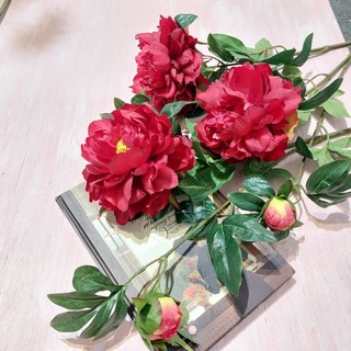 Hoa mẫu đơn peony cao cấp mềm mại giống thật 99%