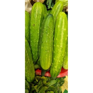 Dưa chuột nếp Mộc Châu (túi 1kg)