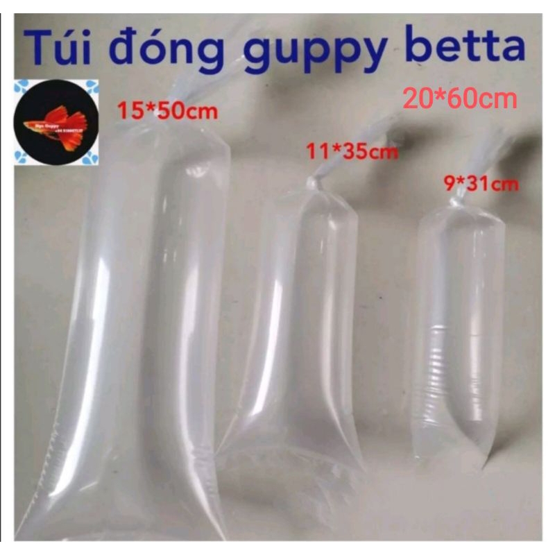 500gr túi đóng cá chuyên dụng, 4 size - Nga Guppy 9*31, 11*35,15*50, 20*60cm