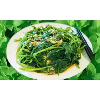 cây giống rau lang