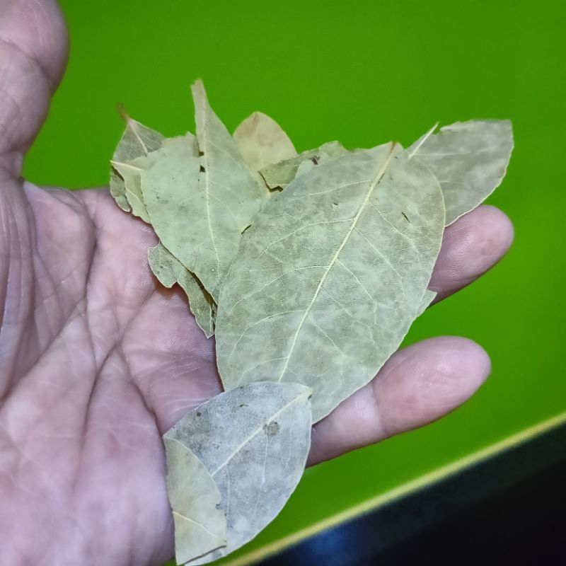 lá nguyệt quế khô