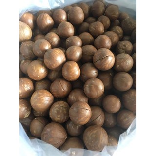 Hạt macca sấy hộp 500g