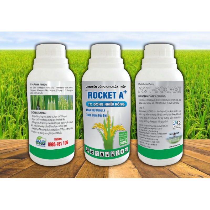 Mập Đòng, Cứng Cây