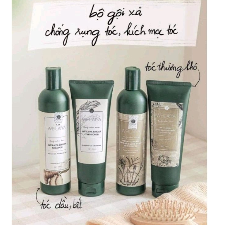 Bộ Dầu Gội Weilaiya Chính Hãng Tinh Chất Gừng Hà Thủ Ô Hỗ Trợ Mọc Tóc Ngăn Rụng Tóc - Cho Da Đầu Khô