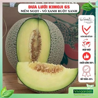 Hạt giống dưa lưới nhật vỏ xanh ruột xanh Kimoji 65