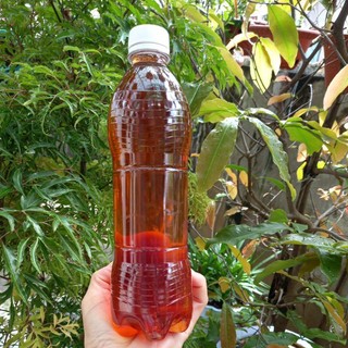 1 Lít nước  mắm nhĩ cá cơm nhà làm