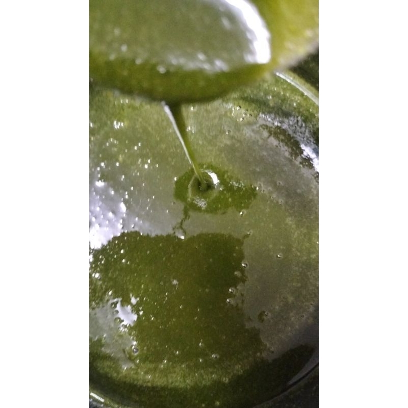 XỐT CHẤM LÁ É TƯƠI  BY MADE THỦY MỘC SHOP 81- Hũ 250g