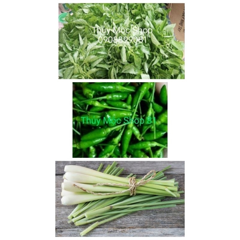 LÁ É TƯƠI PHÚ YÊN: COMBO 1,5 KG NGUYÊN LIỆU LẨU GÀ LÁ É