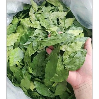 Lá Mắc Mật Khô Lạng Sơn (1kg)