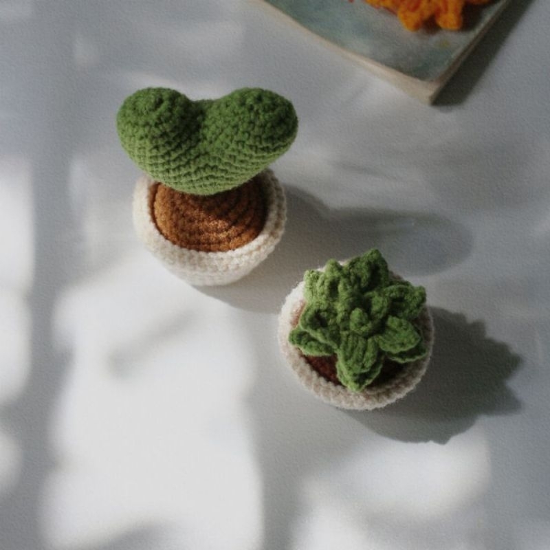 chậu hoa sương rồng len handmade
