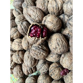 nhân óc chó đỏ mỹ 500gr