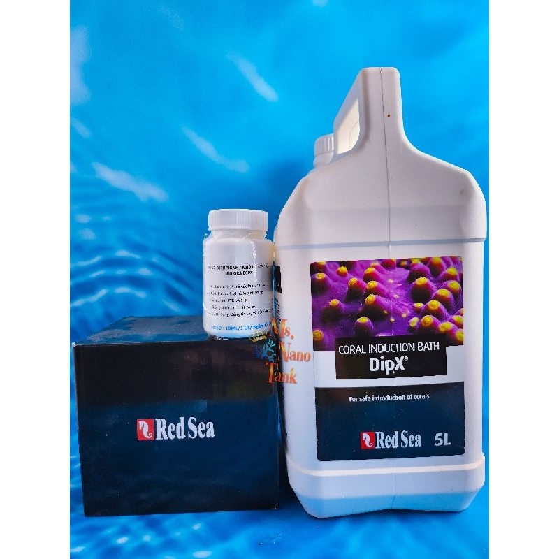 SAN HÔ DIPX - CHIẾT SIZE 100ML