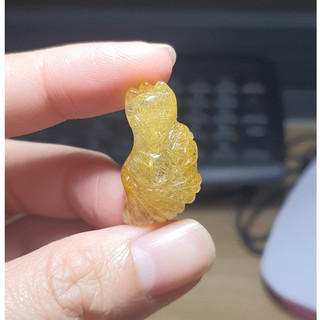 Hồ ly chúa tóc vàng (ảnh thật)