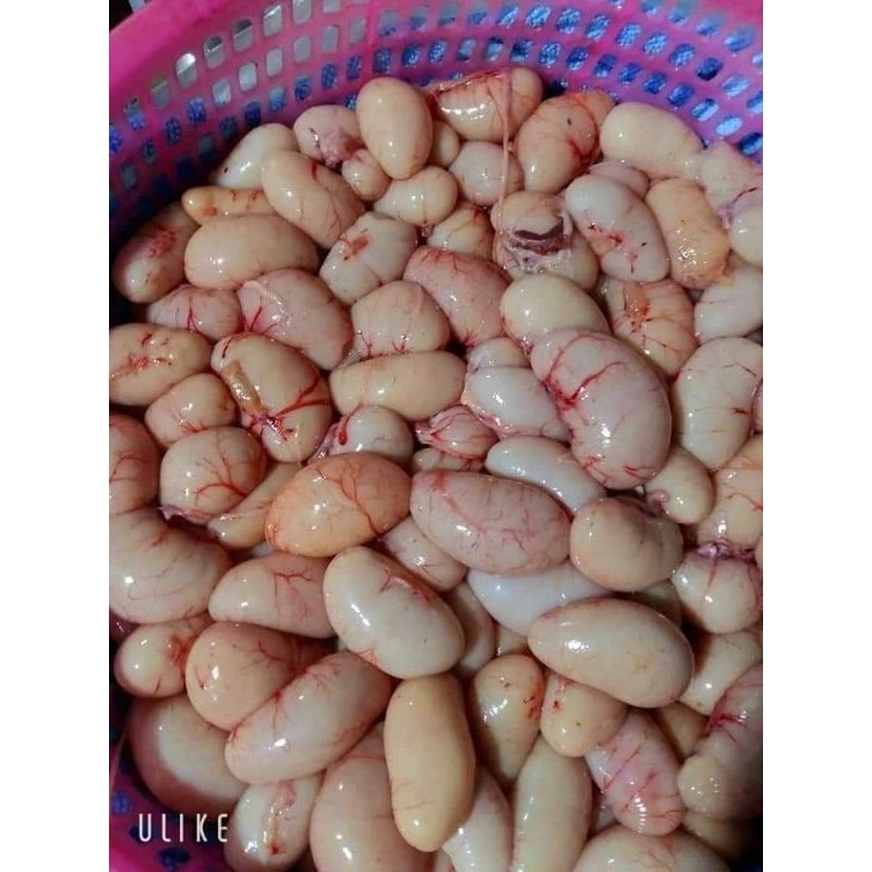 Hoả tốc HCM - NGỌC KÊ GÀ 500G