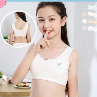 Áo lá cho bé gái học sinh có mút, Áo Bra bé gái cotton có đệm mút BD68