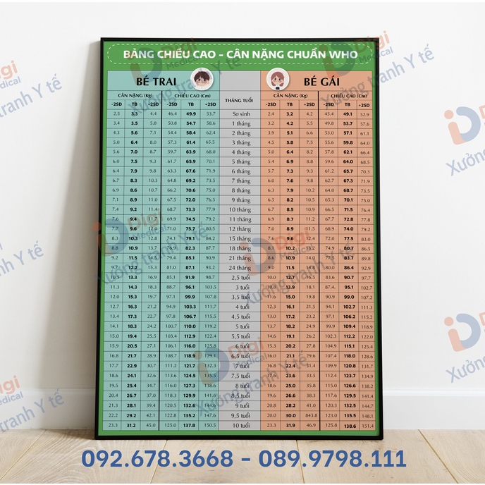 (Tranh Decal Dán) Bảng Cân Nặng Và Chiều Cao Chuẩn WHO
