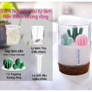 Set Các Nguyên liệu tự làm Nến Xương Rồng TẶNG KÈM LỌ MÙI HƯƠNG làm NẾN THƠM - 9293store - 9293kitdecor