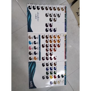Bảng mầu nhuộm tóc Mpros 74 mầu thời trang