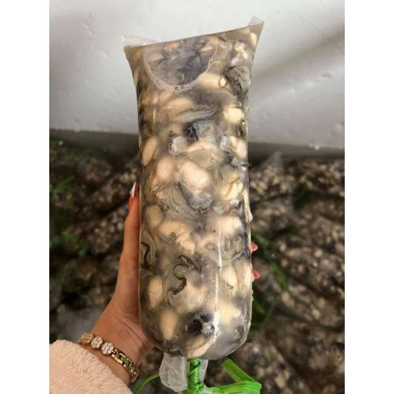 Ruột hàu tươi 99k 1kg ship Hà Nội