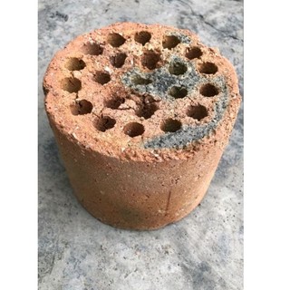 1kg Xỉ than tổ ong trồng cây, lọc nước