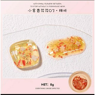 Gel hoa ẩn móng, trang trí nail