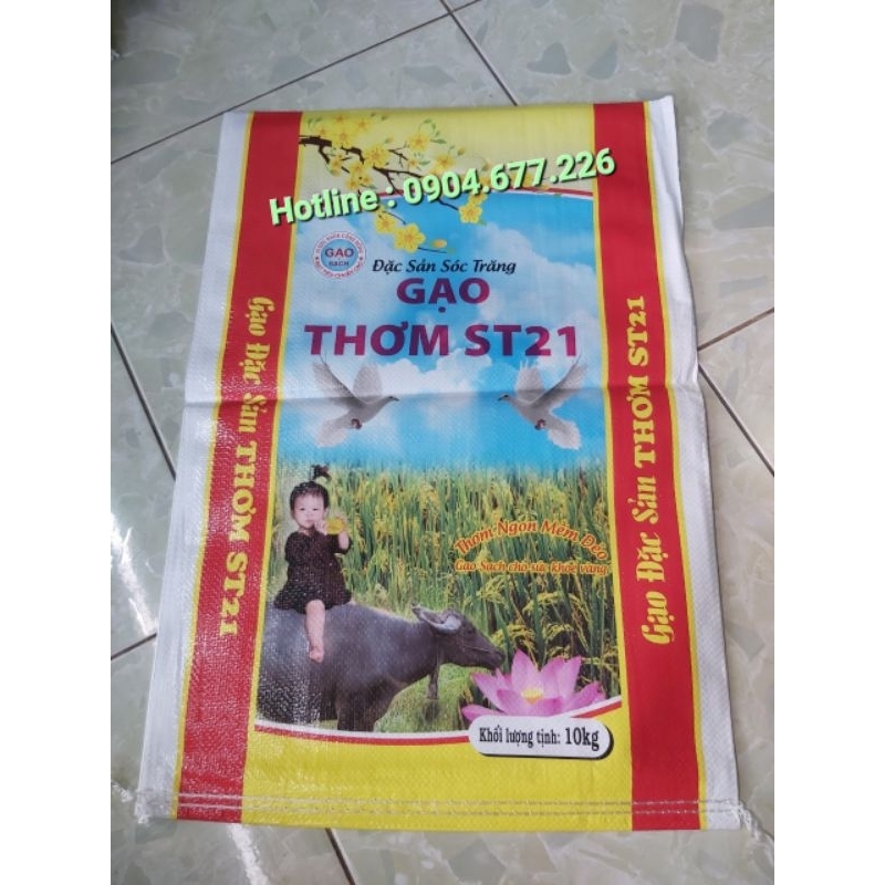 Bao đựng gạo ST21 10kg