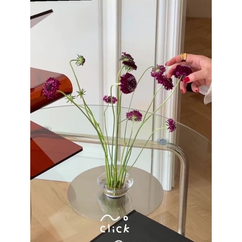 Đế ghim cố định cắm hoa nghệ thuật Ikebana