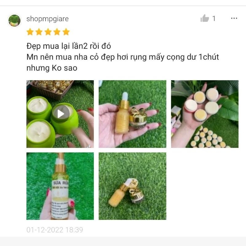 Thảm Cỏ Nhân Tạo Sợi Kim 2cm - Loại đế bạt nhựa không rơi mùn đen