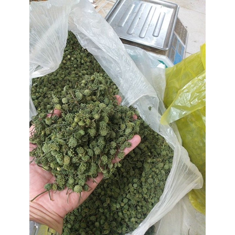 Nụ Hoa Tam Thất Hà Giang 1Kg nụ tam thất, khô hàng chuẩn