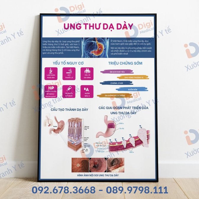 (Tranh Decal Dán) Ung thư dạ dày